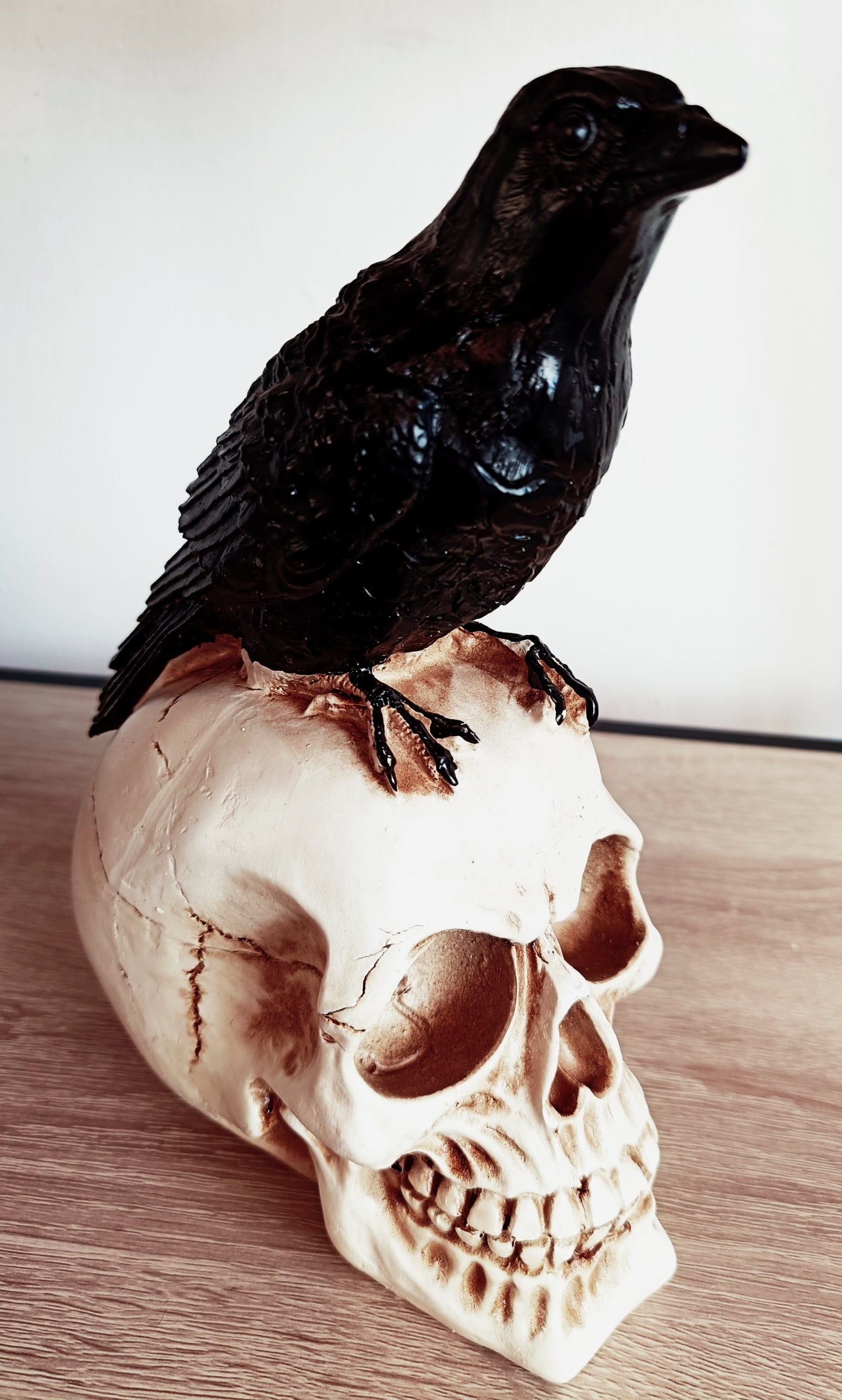 Crow Skull