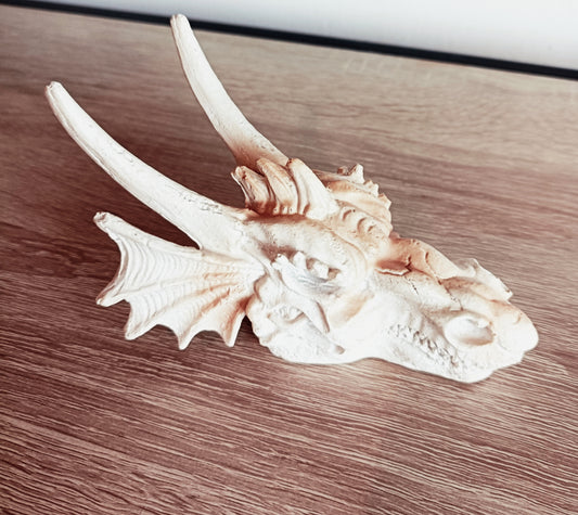 Dragon Skull