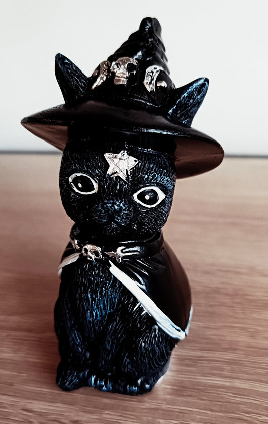 Witchy Cat