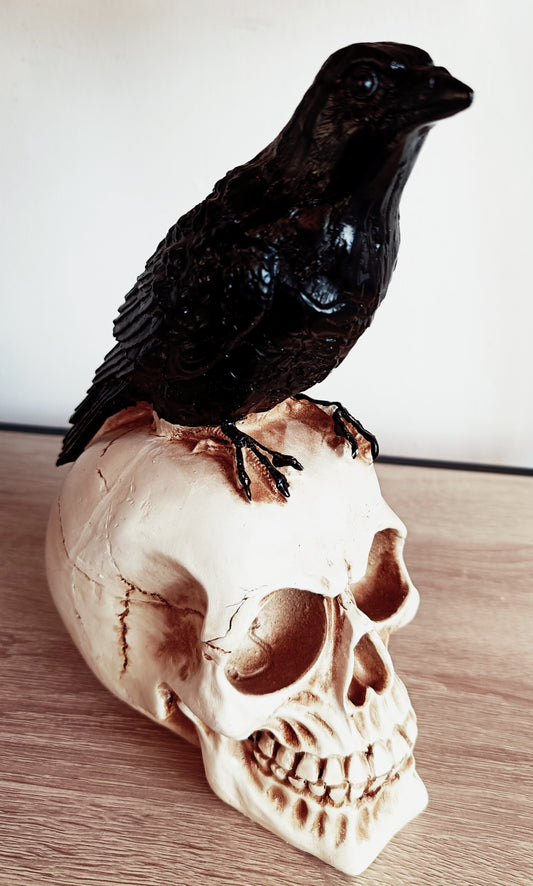 Crow Skull