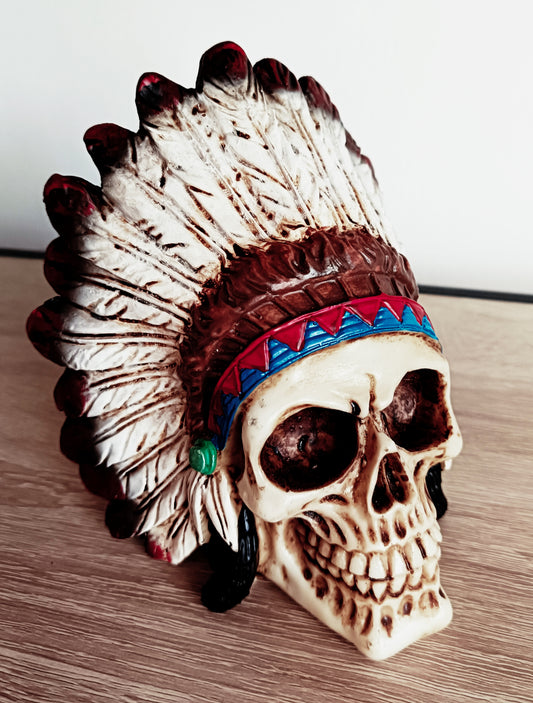 Native American Skull