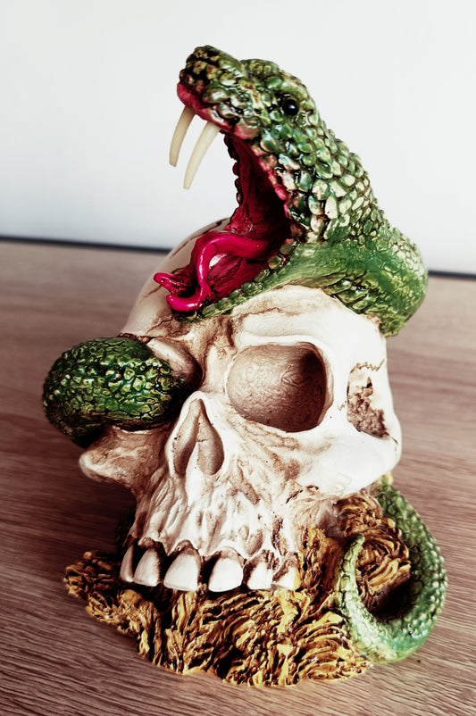 Snake Skull